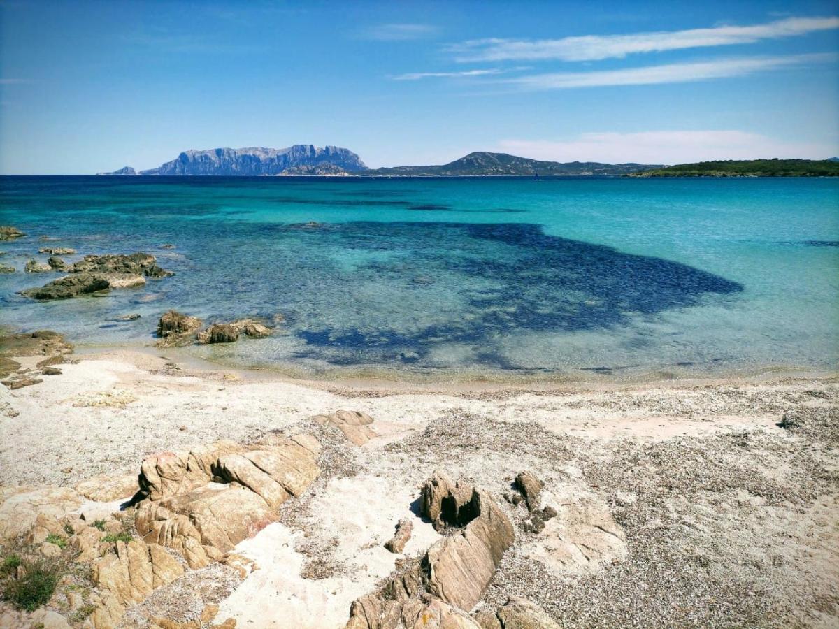 Vacanza Smeralda Holiday home Olbia