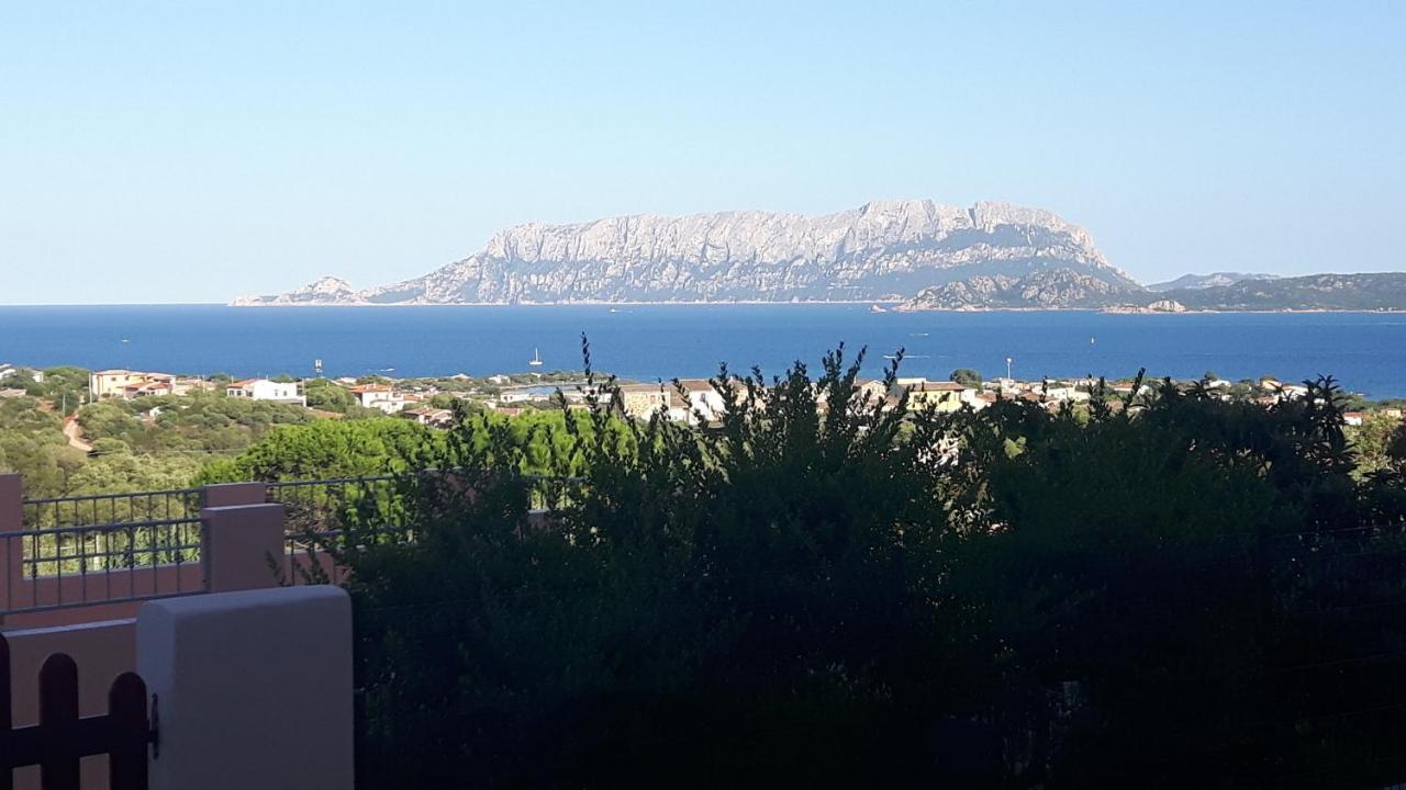 Vacanza Smeralda Holiday home *