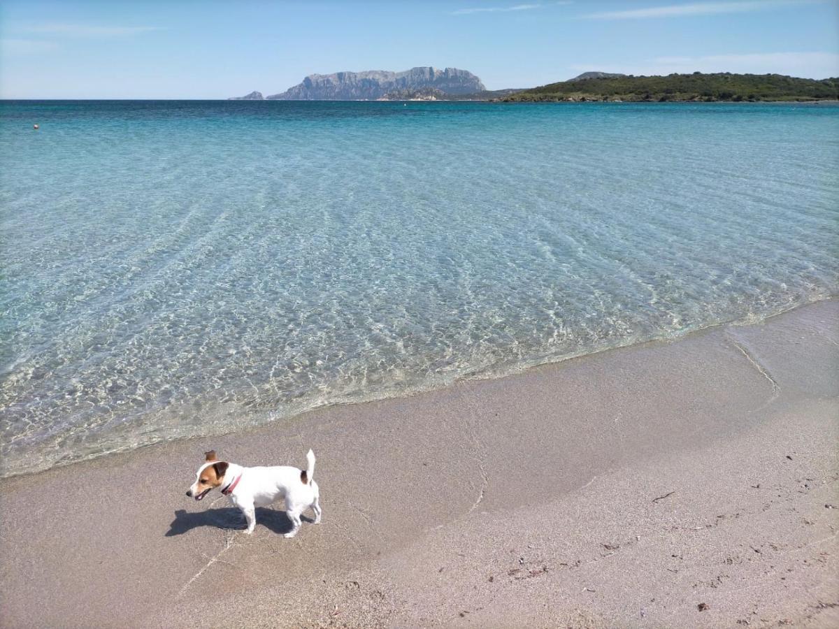 Vacanza Smeralda Olbia