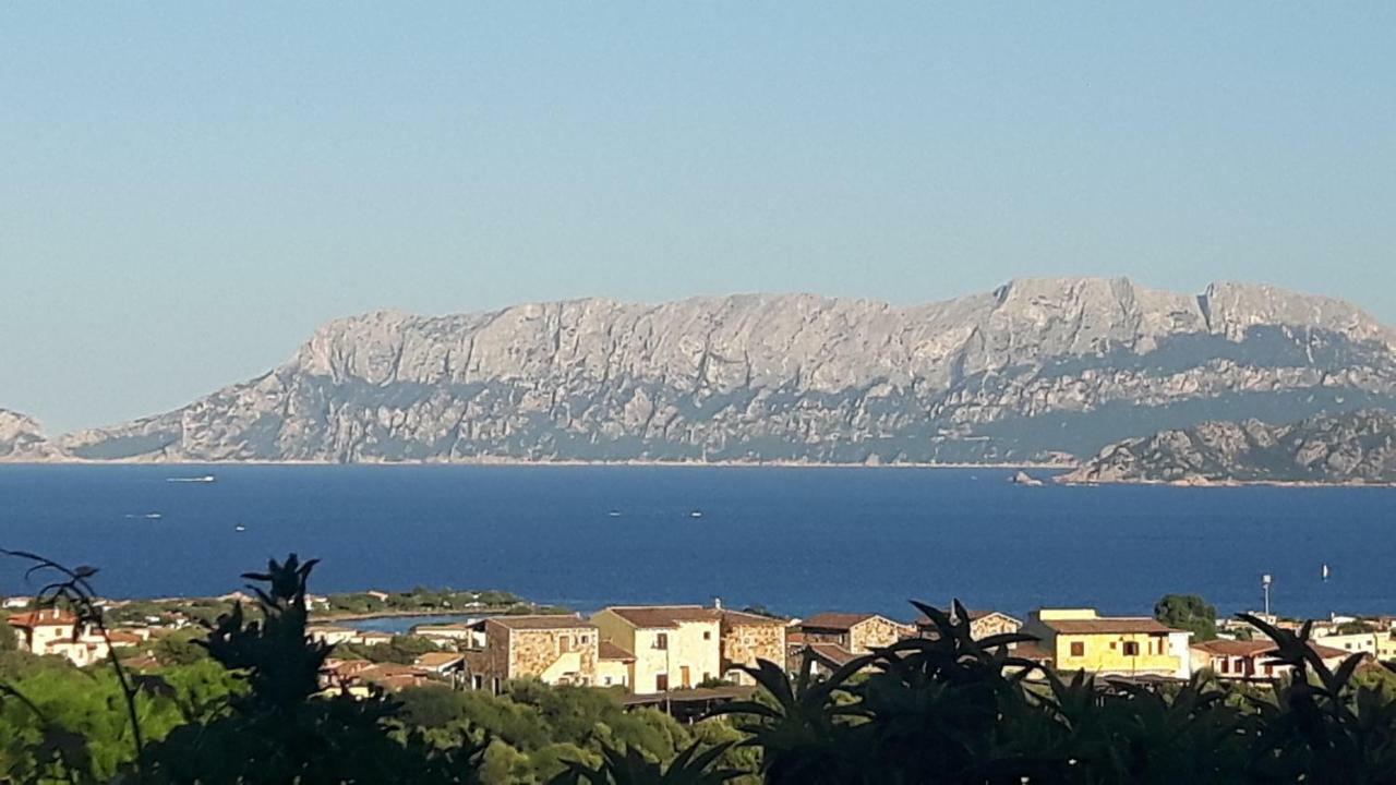 Vacanza Smeralda Holiday home