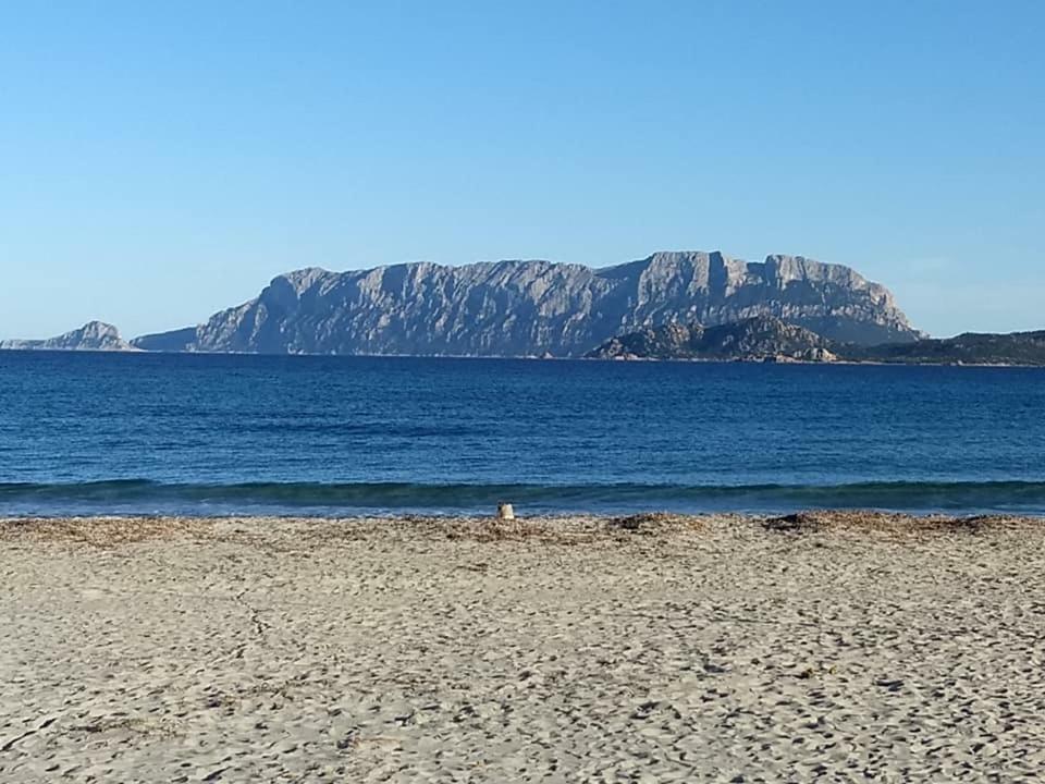 Holiday home Vacanza Smeralda