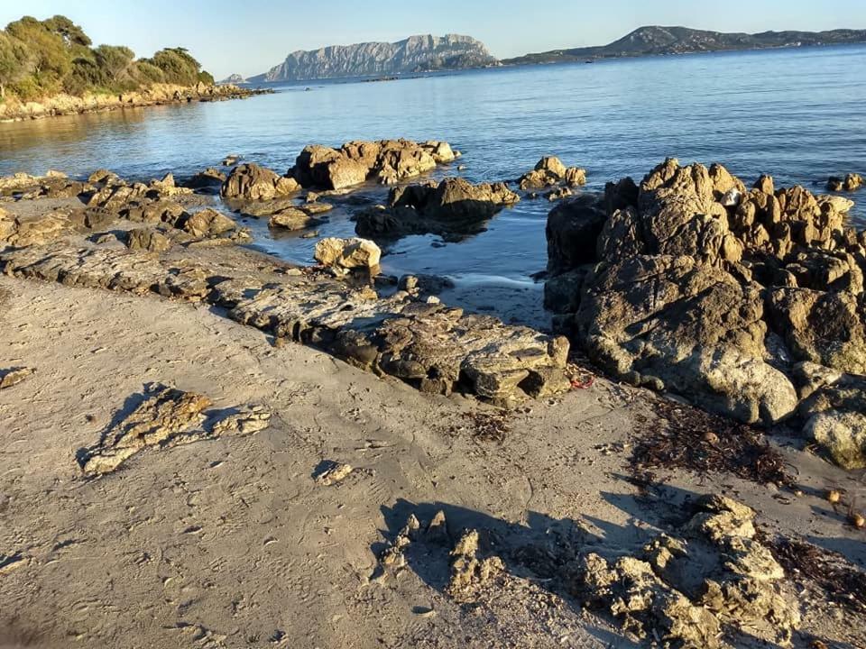 Vacanza Smeralda Olbia
