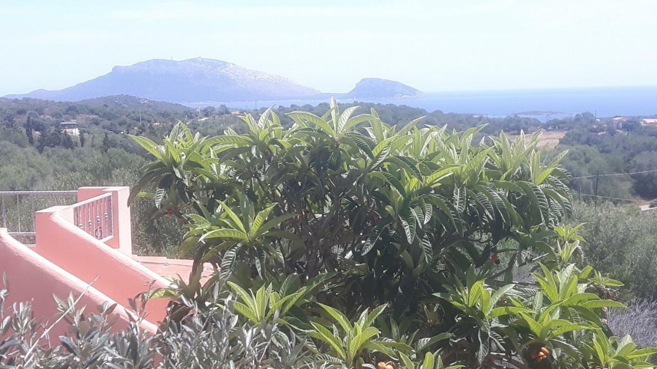 Vacanza Smeralda Holiday home *