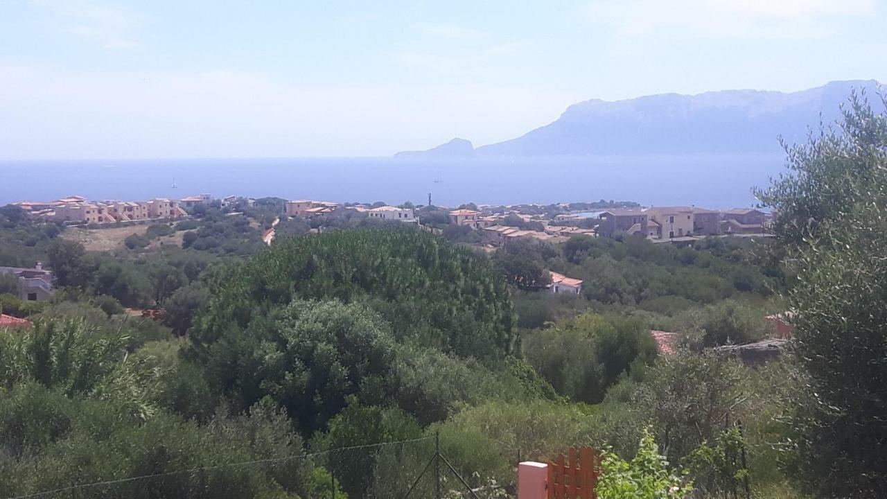 Vacanza Smeralda